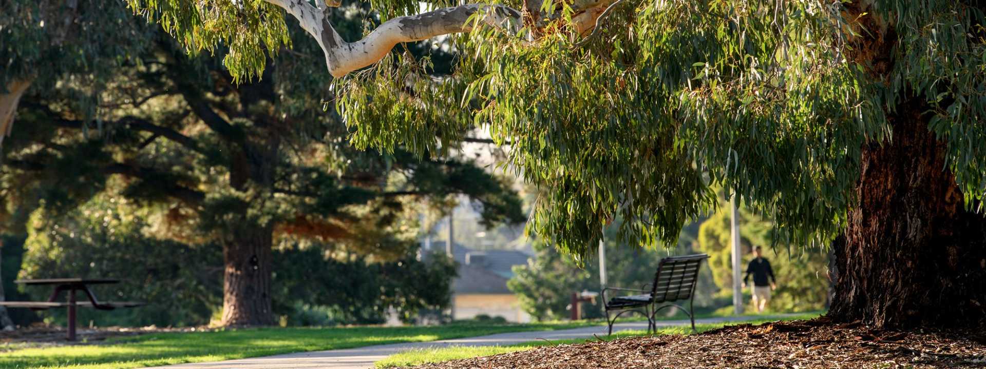 Virginia Reserve. Bentleigh East